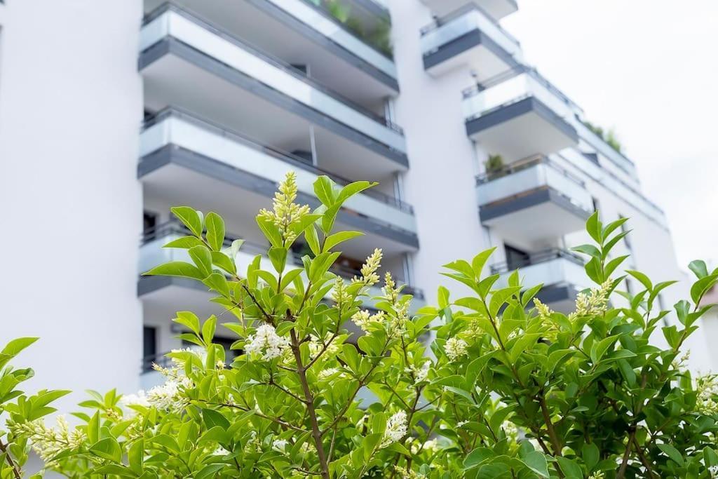 Le Nid Des Romains - T2 Neuf - Balcon - Vue Annecy Exterior photo